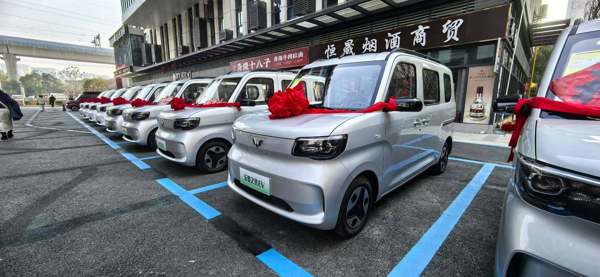 从奋斗到自由！五菱之光EV版湖北上市预售4.78万起
