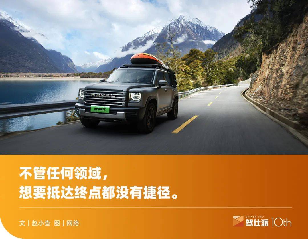 真正的猛龙，不存在流量焦虑