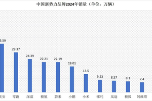 2024年新势力销量成绩单，涨声一片却有一大半焦虑起的