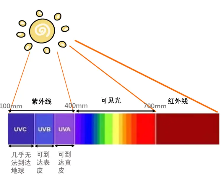 说靠近车窗的半边脸更容易衰老于是才需要给车窗贴膜，观点对吗？