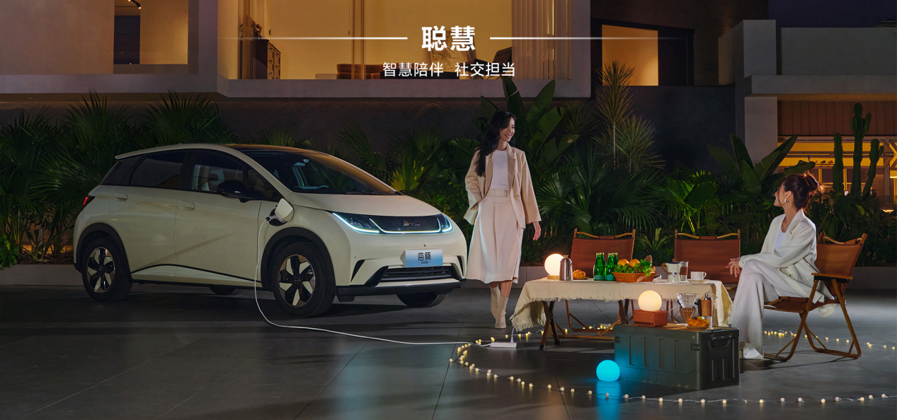 预算10万，A级电动车怎么选？