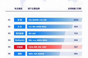 年度全球销量成绩单，比亚迪第5，吉利首进TOP10