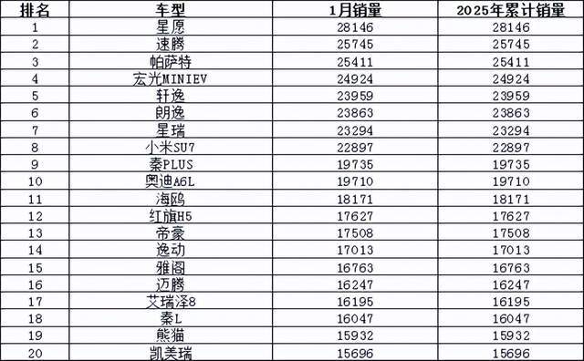 2025年1月汽车销量排行榜 小米SU7首次上榜