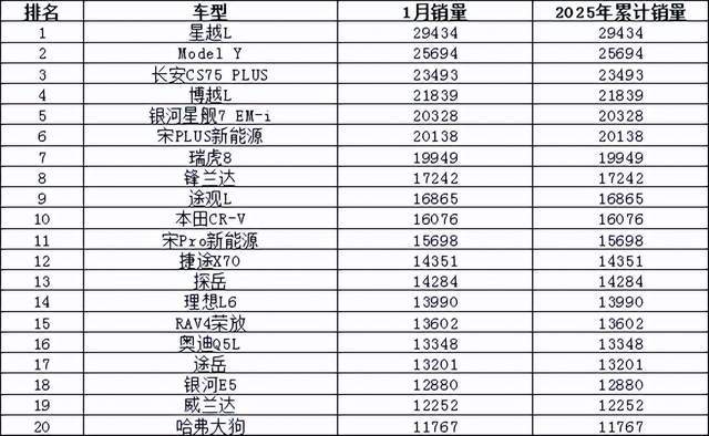 2025年1月汽车销量排行榜 小米SU7首次上榜