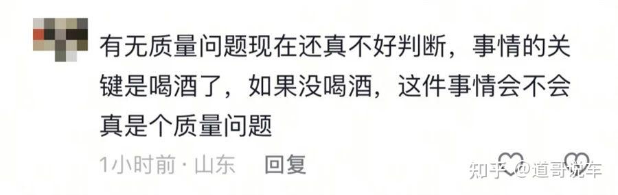 牢饭吃撑！伪造国标给小米SU7火上浇油，维权车主竟变撒谎精尽失人心？