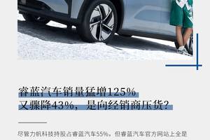 睿蓝汽车销量猛增125%又骤降43%，是向经销商压货？