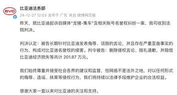 比亚迪为新一批线索及证据提供人奖励1-100万