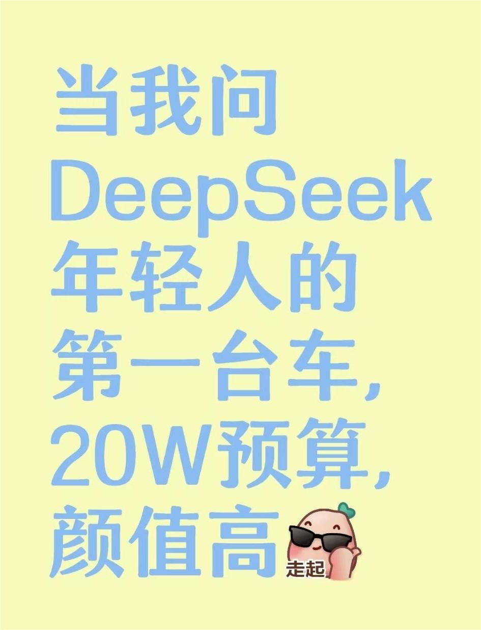 DeepSeek说预算20W，年轻人的第一台车应该是...