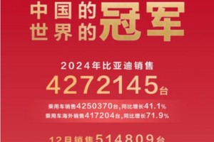 2024年全球车企销量排行榜前十出炉，比亚迪排名第五