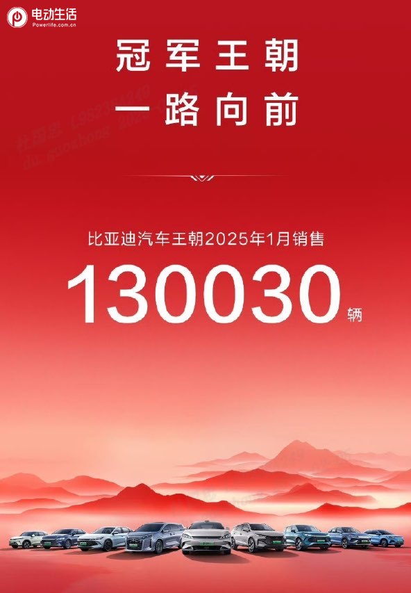 2025年1月销售30 万台同比增长50.3%，比亚迪稳居中国销冠
