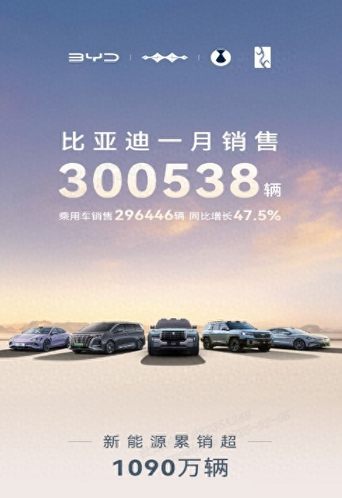 继续坐稳销冠！比亚迪2025年1月销售30万台