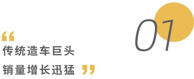 1月车市销量盘点：新势力销冠易主，比亚迪持续领跑市场