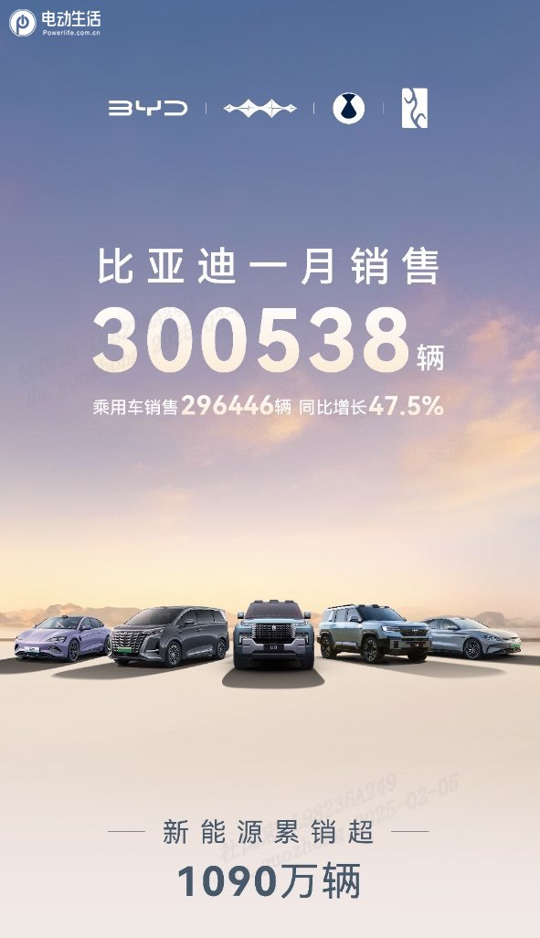 2025年1月销售30 万台同比增长50.3%，比亚迪稳居中国销冠