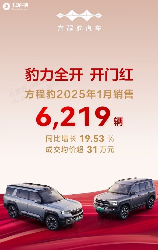 2025年1月销售30 万台同比增长50.3%，比亚迪稳居中国销冠