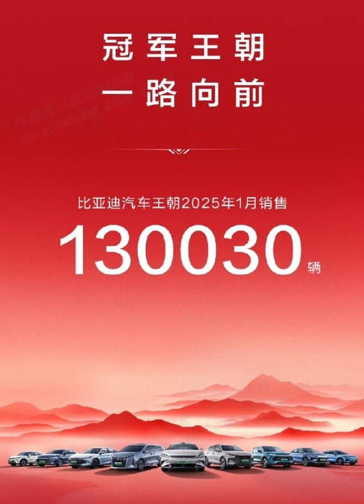 中国销冠 比亚迪25年1月销售30万台