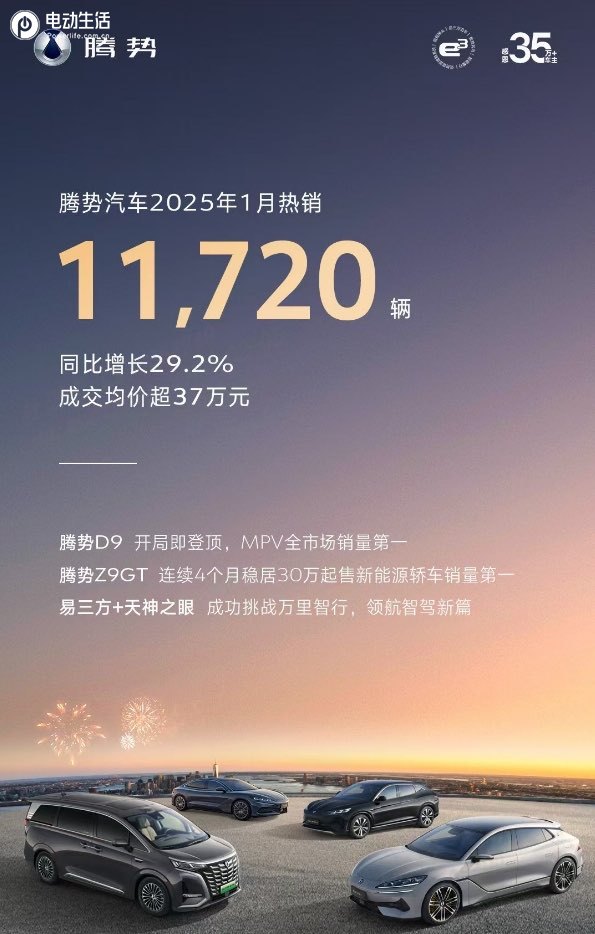 2025年1月销售30 万台同比增长50.3%，比亚迪稳居中国销冠