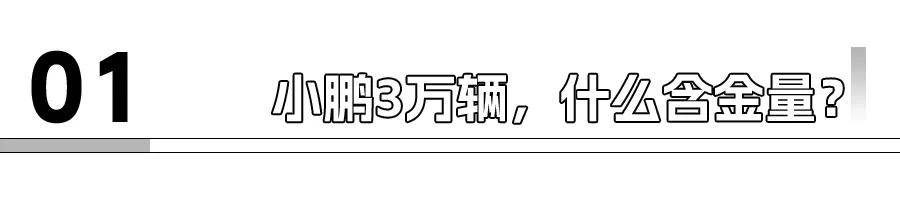 1月新能源销量：小鹏跃3万，小米超2万，都是什么含金量？