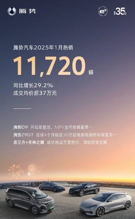 继续坐稳销冠！比亚迪2025年1月销售30万台