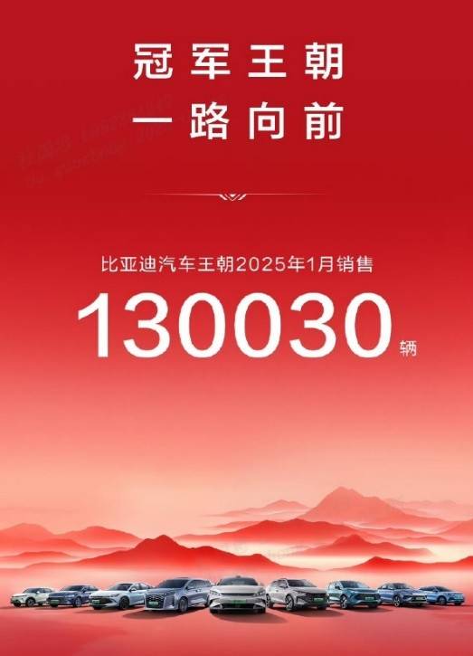 中国销冠 比亚迪25年1月销售30万台