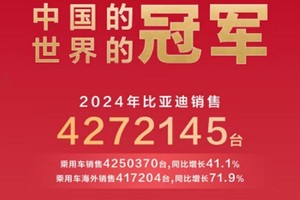 比亚迪2024：硬核实力铸就，勇夺“三冠王”荣耀