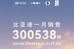 中国销冠 比亚迪2025年1月销售30万台