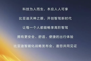 智驾下探至10万级，比亚迪将于2月10日发布天神之眼高阶智驾