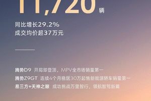 中国销冠！比亚迪1 月销量超 30 万辆，出口 “一路狂飙” 83.4%