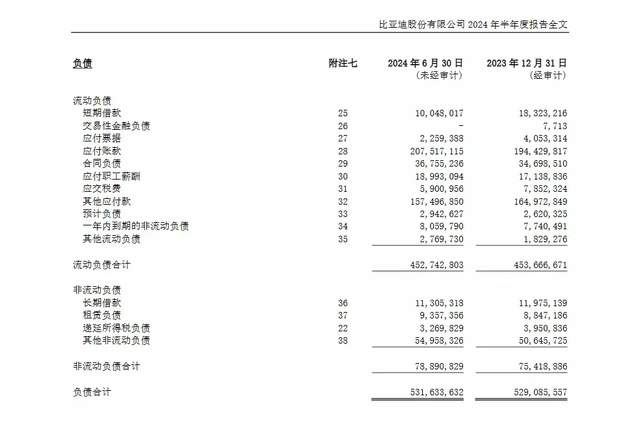 比亚迪总负债高达5291亿，还在疯狂扩张，却比还谈不上“最狠”