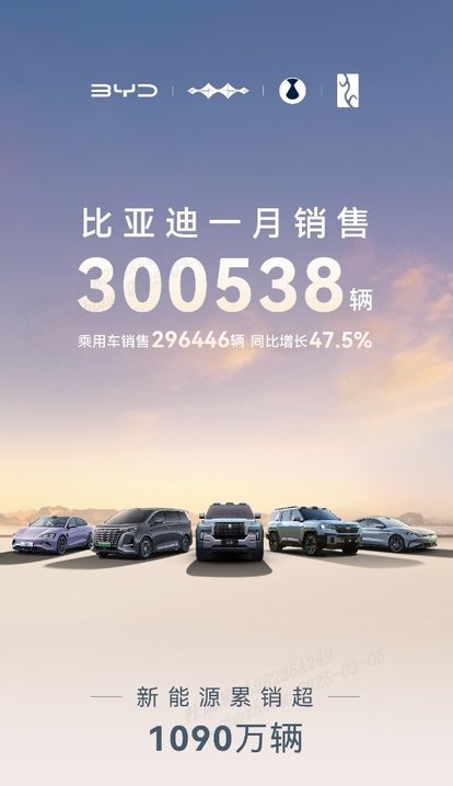 中国销冠 比亚迪2025年1月销售30万台