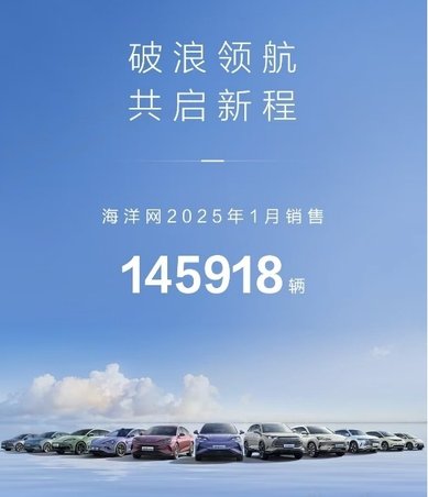 中国销冠 比亚迪2025年1月销售30万台