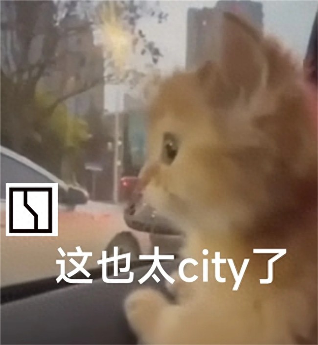 亚冬会最City的“名片”是？