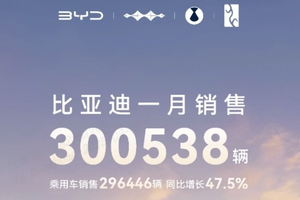 中国销冠 比亚迪2025年1月销售30万台