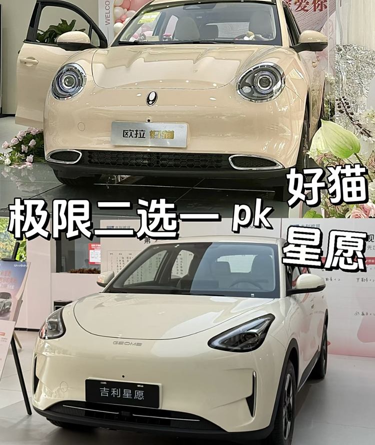 欧拉好猫 vs 吉利星愿：谁才是你的城市通勤小萌兽？