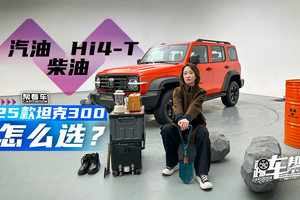 《帮看车》汽油、柴油、Hi4-T 25款坦克300怎么选？