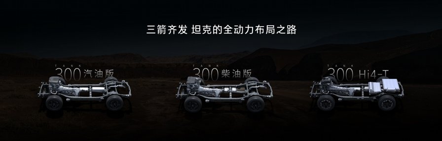 汽油、柴油、混动样样都有，2025款坦克300上市