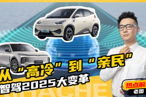 汽车热点解读！智能化竞争白热化，2025年智驾会普及吗