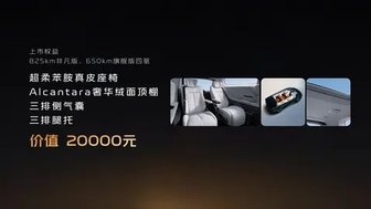 翼真L380上市!29.99万元就能拥有张智霖同款头等舱?这价格值不值?