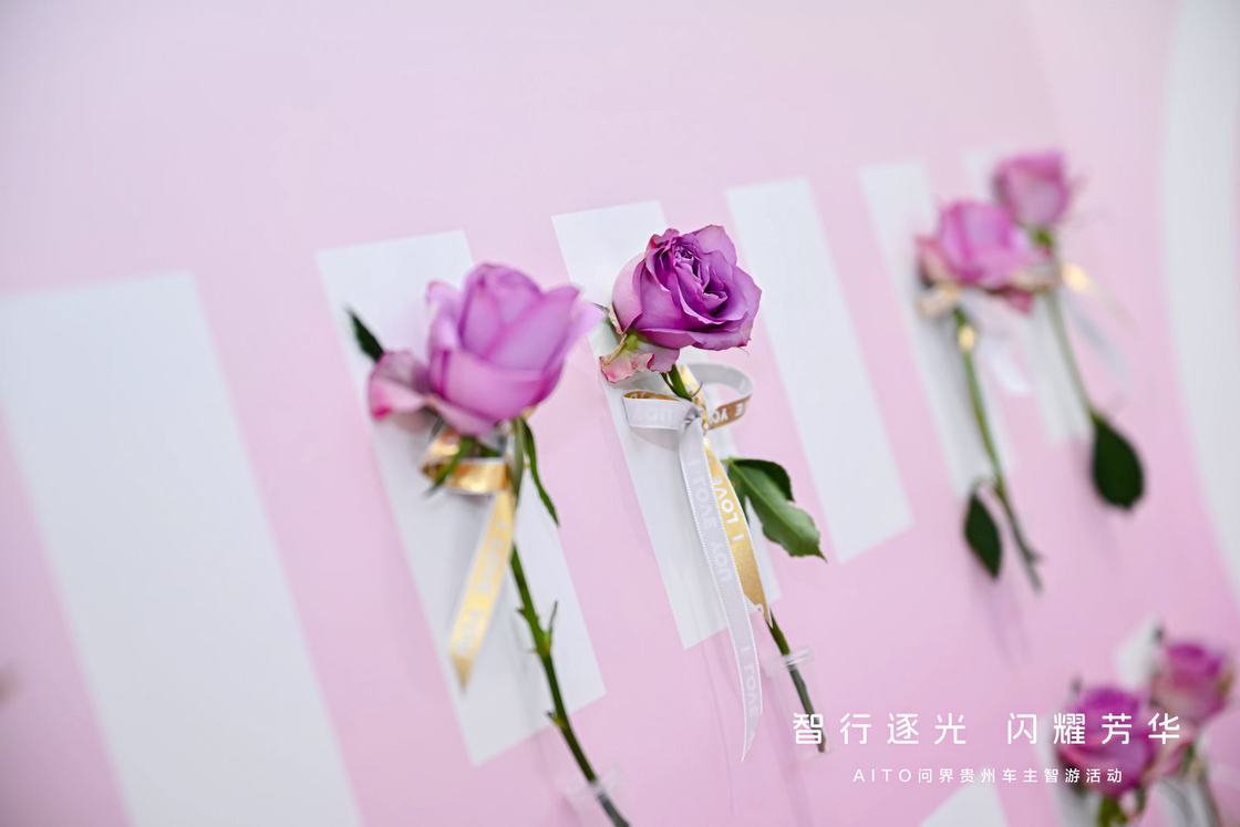 “智行逐光 闪耀芳华”AITO问界贵州车主智游活动圆满落地
