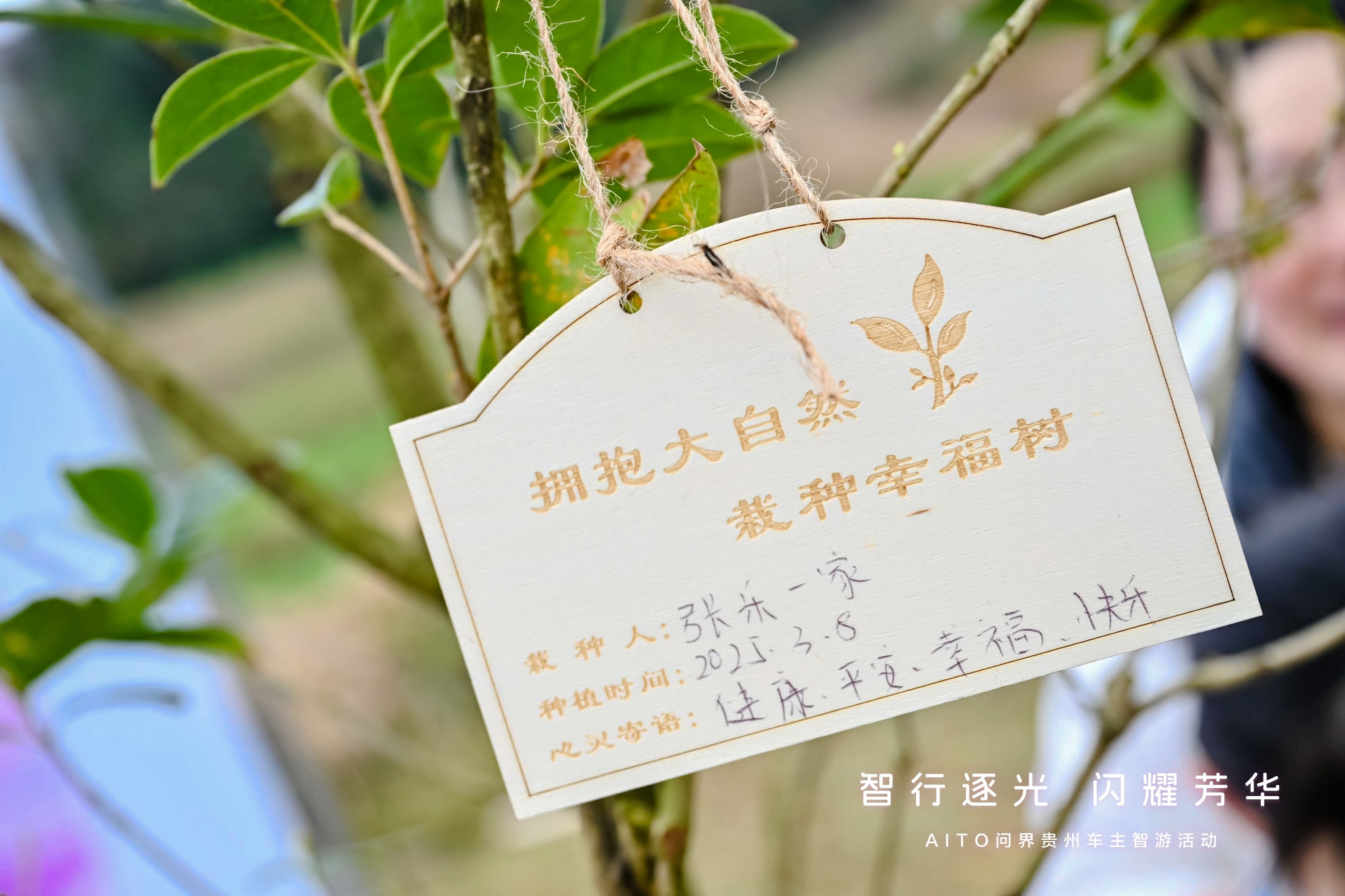 “智行逐光 闪耀芳华”AITO问界贵州车主智游活动圆满落地