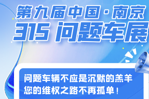 第九届2025中国·南京315问题车展举行