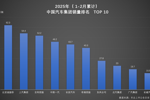 2025年1-2月车企、品牌销量双冠军花落谁家？