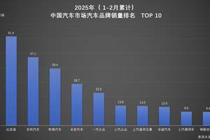 从集团到品牌，比亚迪稳坐1-2月销量冠军双宝座