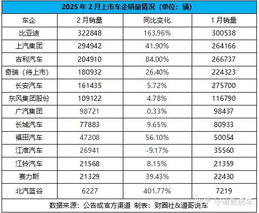 2月上市车企销量：比亚迪一超多强 “新玩家”闯进前五