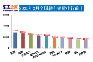 2025年2月汽车销量排行榜 Model Y销量暴跌