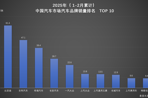 开年就王炸！比亚迪双料冠军开启车市新格局