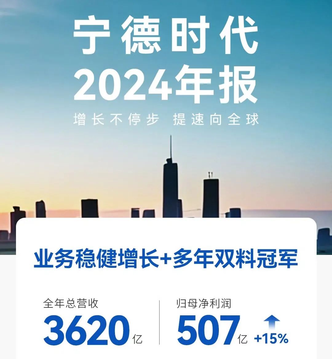 行业丨2024宁德时代营收下降，荆棘载途该如何应对？