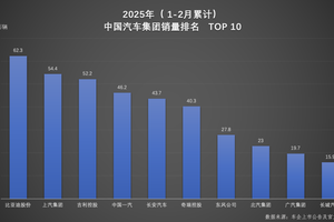 比亚迪实力登顶！2025年1-2月车企、品牌销量双冠军花落谁家？