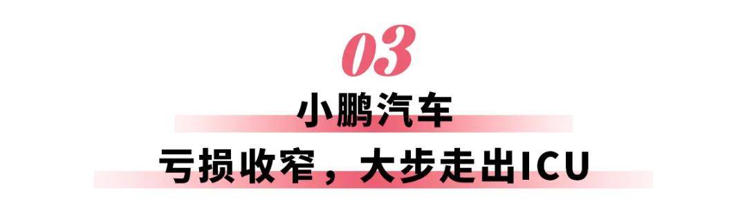 新势力2024财报：小米毛利逼近理想，小鹏又“肥”来了