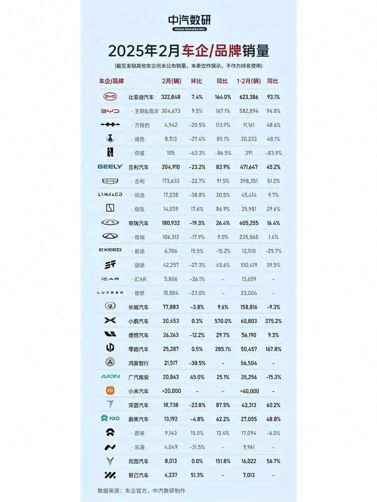 2025年2月中国车市：比亚迪稳坐王座，新势力格局生变，智能化竞争