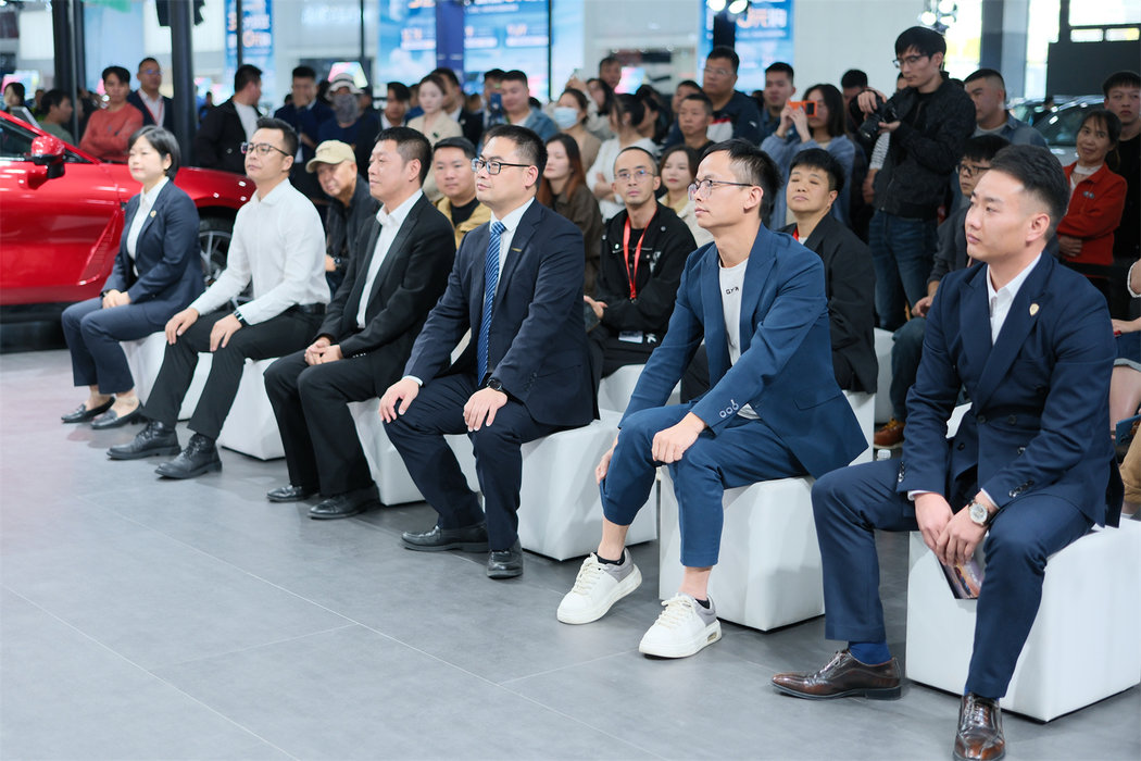 2025年2月中国车市：比亚迪稳坐王座，新势力格局生变，智能化竞争